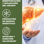 Liver Cleanse & Detox — Apoyo nutricional para el bienestar del hígado.