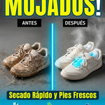 Secador de Zapatos Eléctrico 360° con Temporizador